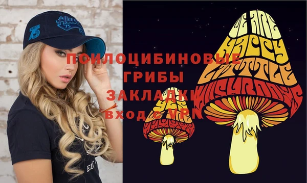 дурь Балахна