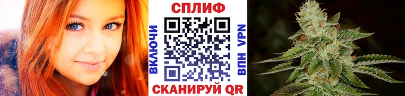 Конопля план blacksprut зеркало Ржев